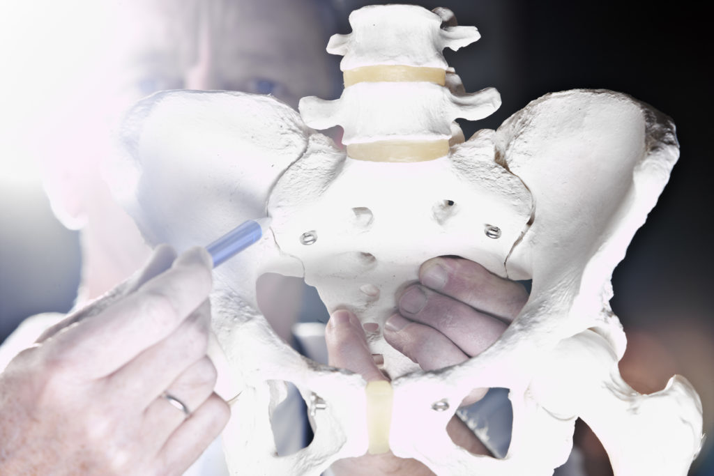 What are the different types of hip replacements?