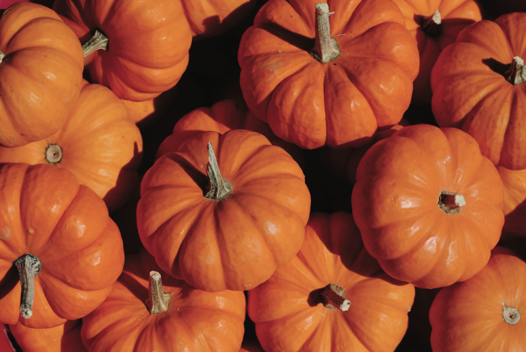 What are the health benefits of eating pumpkin?
